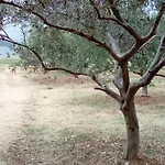 Mira *