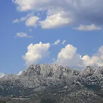 Mira