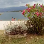 Mira * غورني كارين