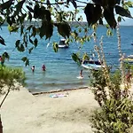 Mira *