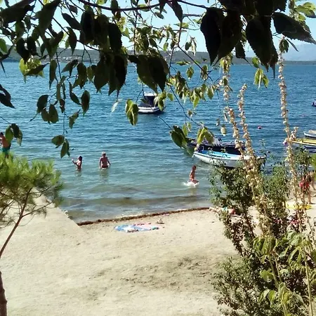 Mira *