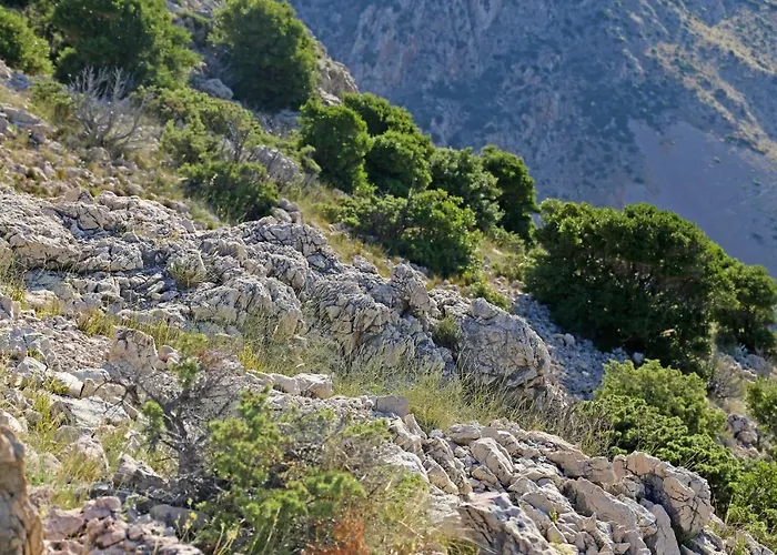 Mira Горни-Карин